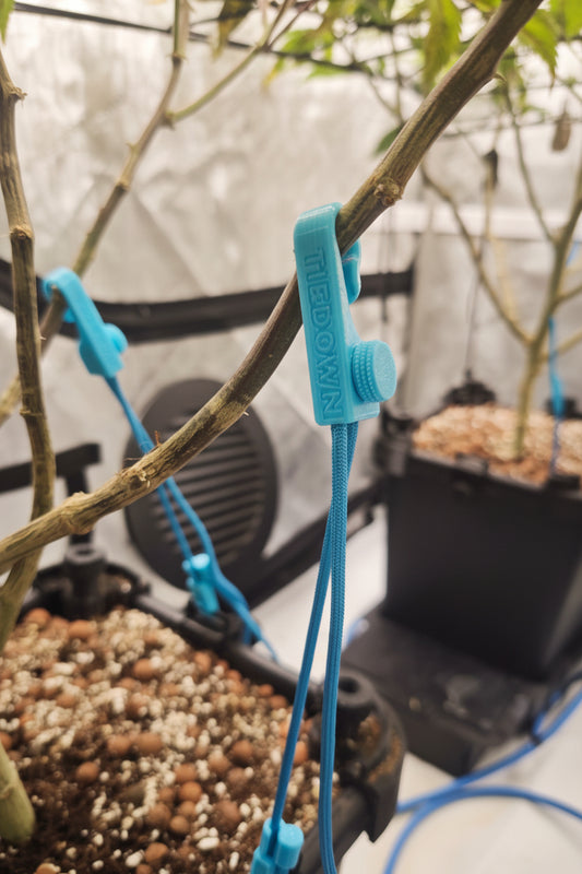 TieDOWN - Low Stress Training System