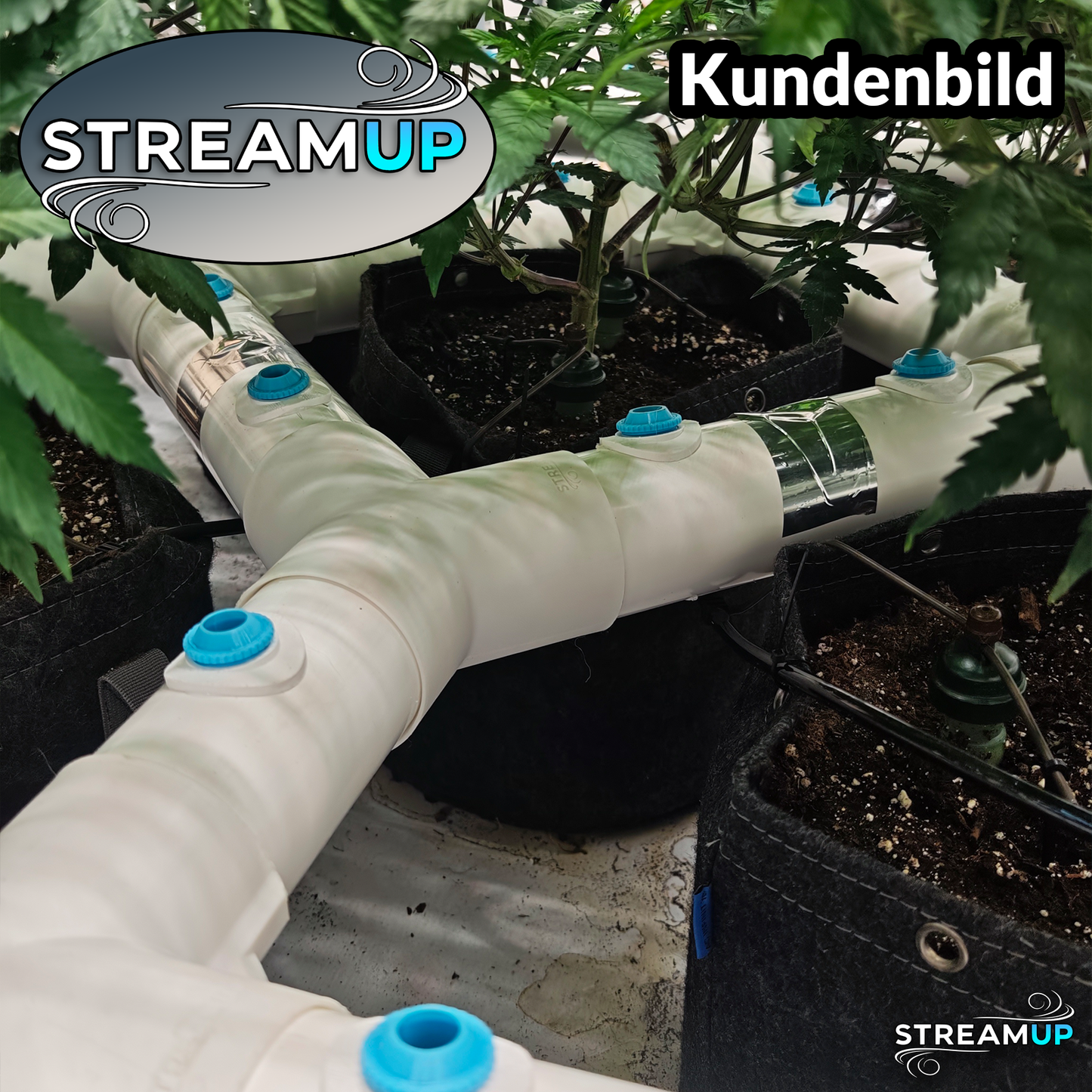 StreamUP - 100x100