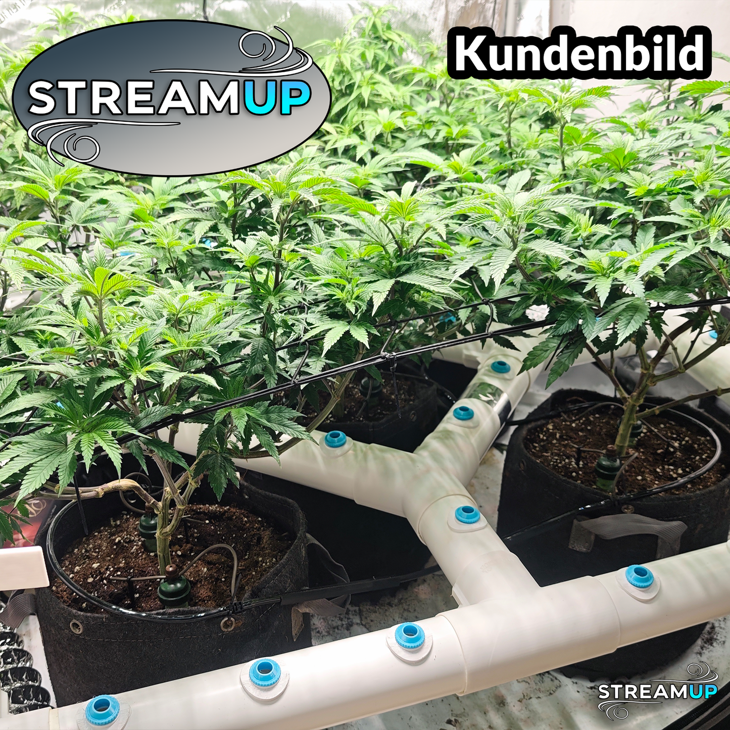 StreamUP - Belüftungsanlage - 80x120